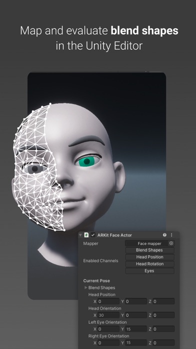 Unity Face Capture screenshot 2