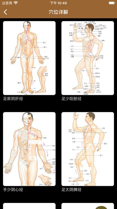 中医宝-集合上万种中药偏方和养生食谱药方 screenshot 9