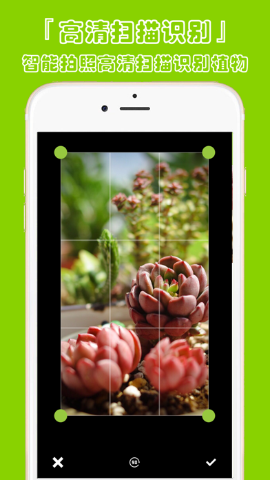 植物识别-认识植物图鉴平台 screenshot 4