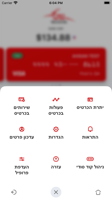 ויזה נטען - דואר פיננסים screenshot 2