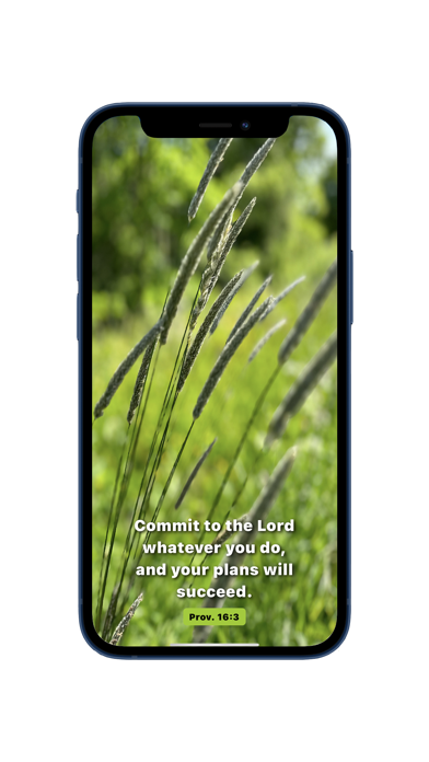 Uplift - Your Daily Scripture screenshot 2