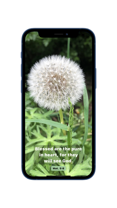 Uplift - Your Daily Scripture screenshot 5