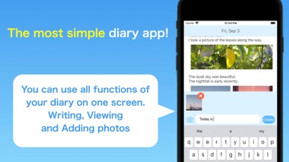 Useful Diary screenshot 5