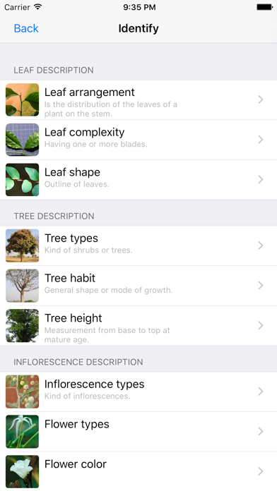 Useful Trees of East Africa screenshot 4