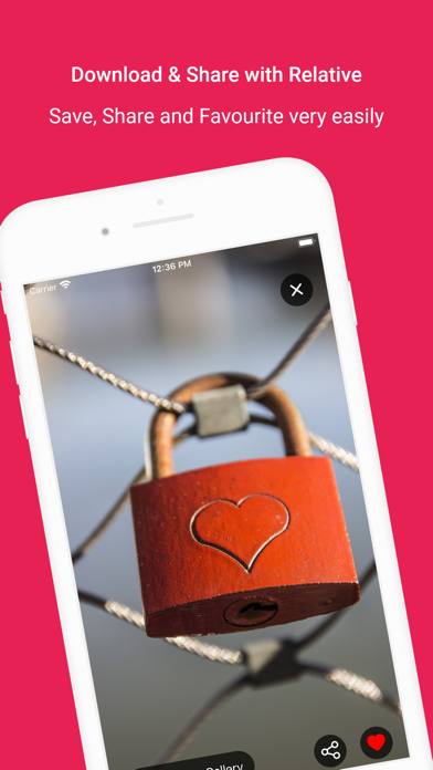 Valentines Day Wallpapers HD screenshot 1
