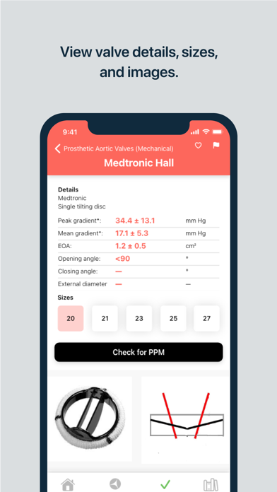 Valve PPM screenshot 4