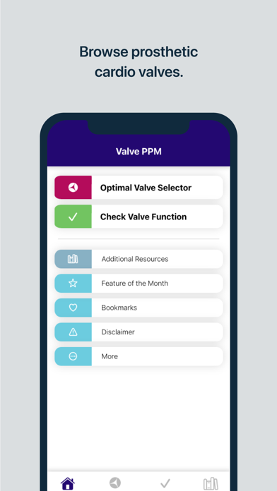 Valve PPM screenshot 5