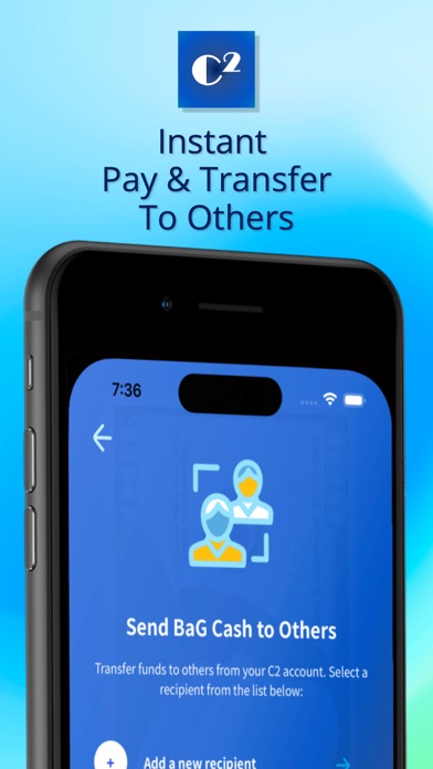 VANSi - Cash Advance screenshot 5