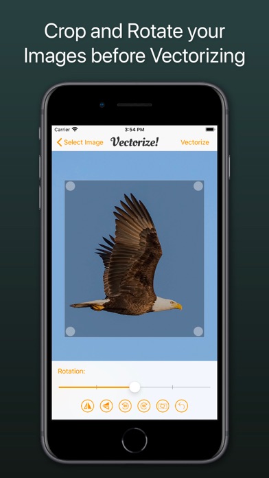 Vectorize! screenshot 3