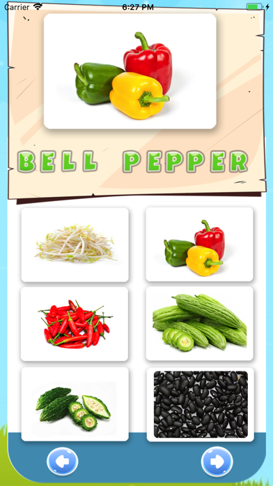 Vegetable Vocabulary English screenshot 4