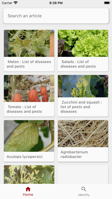 Vegetable screenshot 2