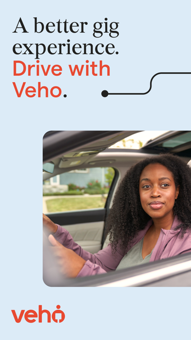 Veho Driver screenshot 5