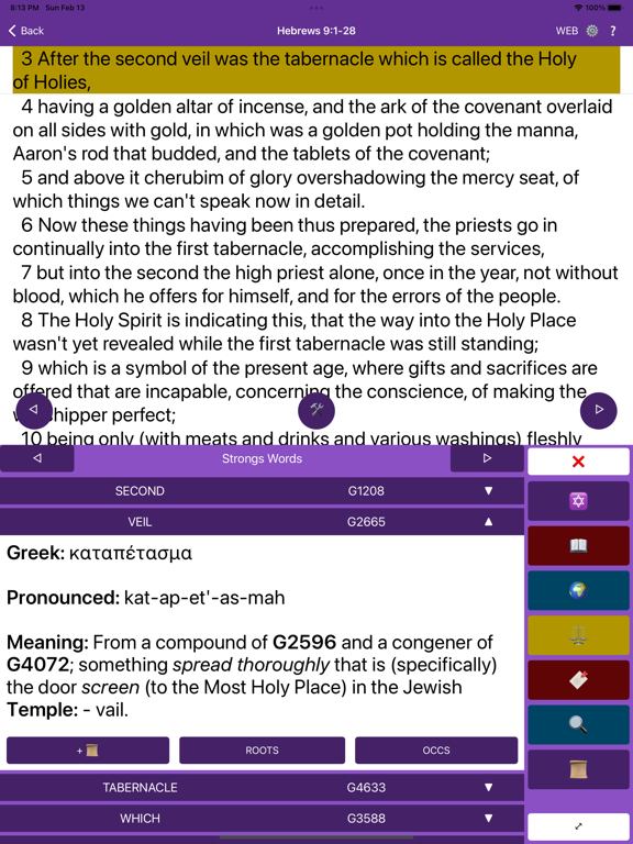 Veil Bible App screenshot 5