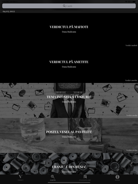 Verdict Dana Budeanu screenshot 3