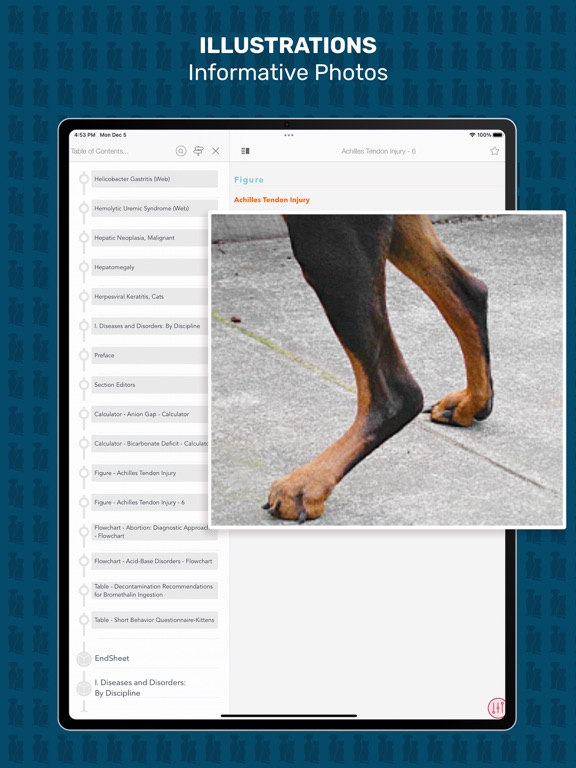 Veterinary Advisor: Dogs Cats screenshot 8