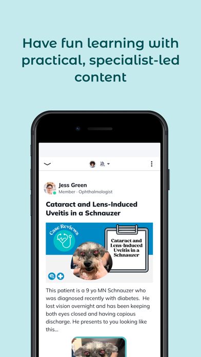 VetHive screenshot 2