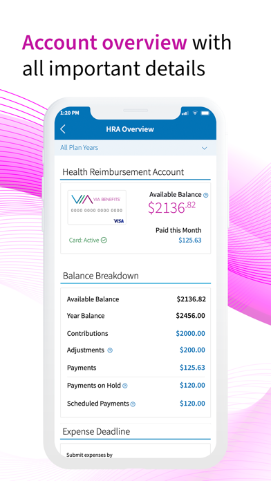 Via Benefits Accounts screenshot 2