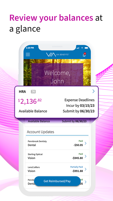 Via Benefits Accounts screenshot 4