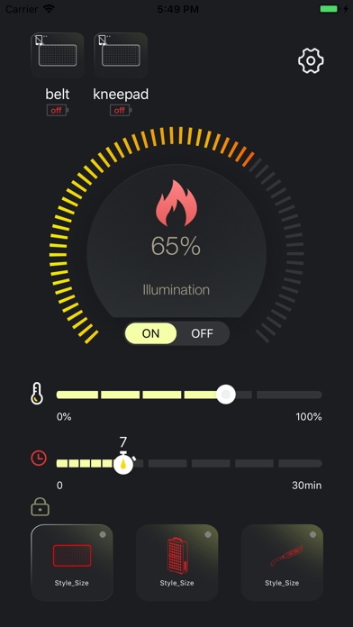 Viconor screenshot 2