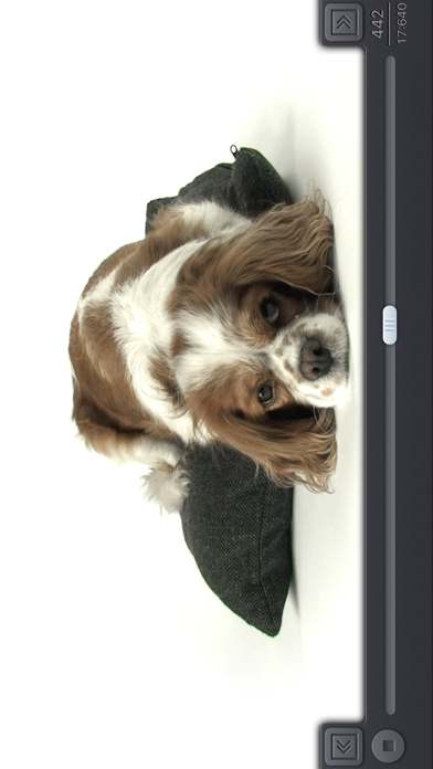 Video 2 Photo - HD screenshot 2