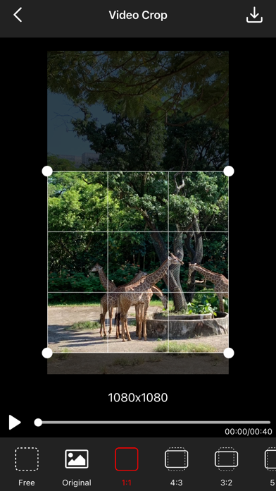 Video Crop - Resize Video screenshot 3