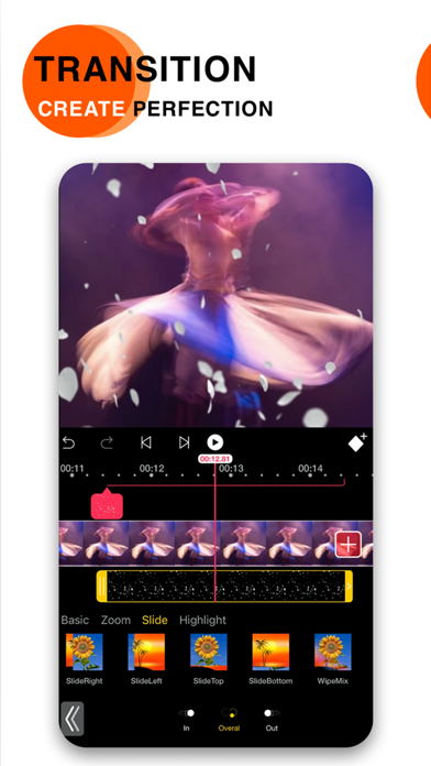 Video Eraser . screenshot 4