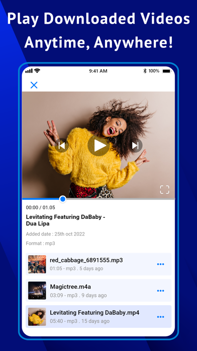 Video Manager - Offline Play screenshot 5
