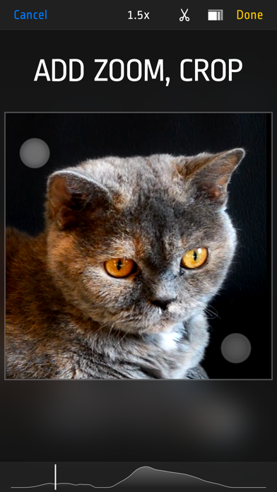Video Zoom! - Apply Zoom, Crop screenshot 5