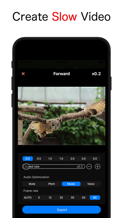 VideoSpeed+ : Video Speed Plus screenshot 3