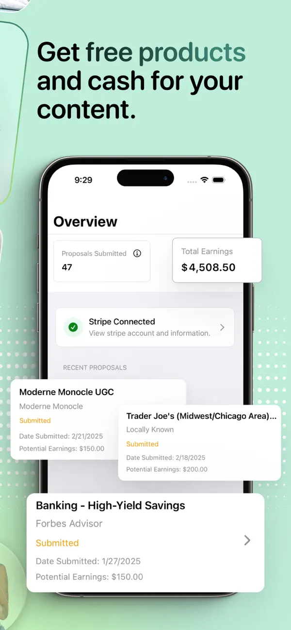 Vidovo screenshot 4