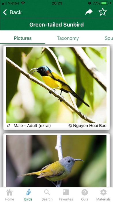 Vietnam Bird Guide screenshot 4