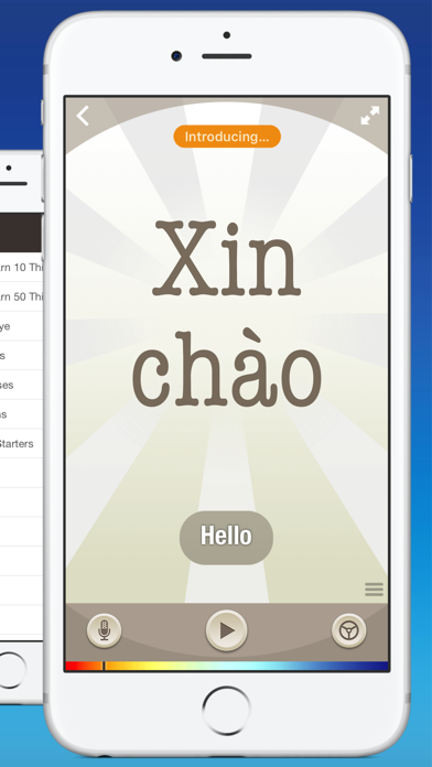 Vietnamese by Nemo screenshot 4