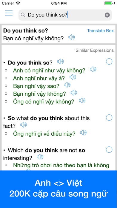 Vietnamese Translator Offline screenshot 3