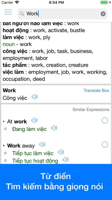 Vietnamese Translator Offline screenshot 1