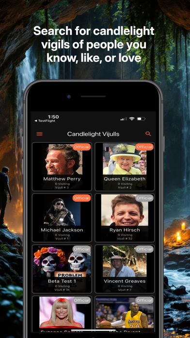 Vijull screenshot 5
