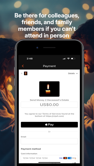 Vijull screenshot 2