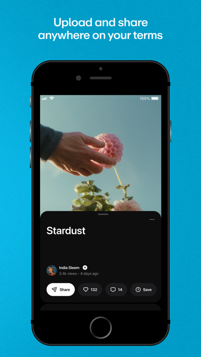 Vimeo screenshot 4