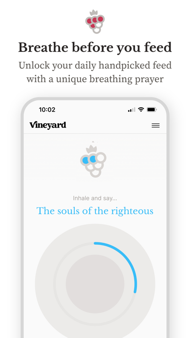 Vineyard: Find Virtuous Minds screenshot 3