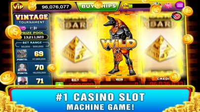Vintage Slots - Old Las Vegas! screenshot 2