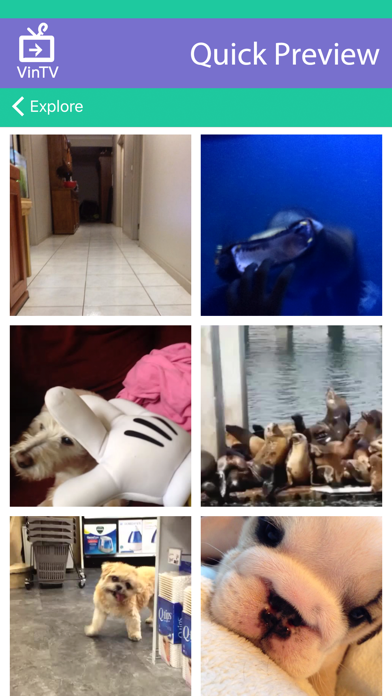 VinTV － Watch Vine Videos screenshot 2