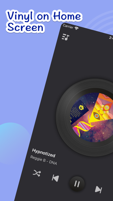 Vinyl Widget- Vinyl Record App screenshot 3