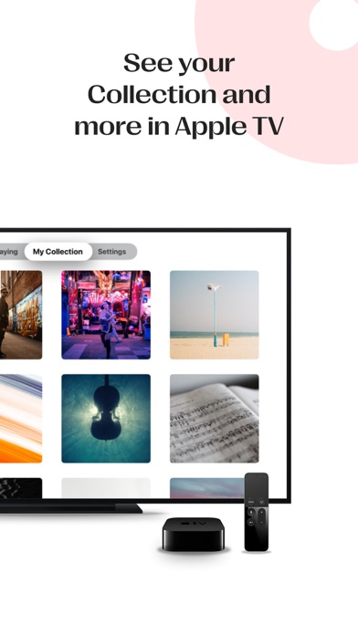 Vinyls: Manage your collection screenshot 4