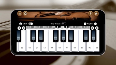 Violin Instrument screenshot 2
