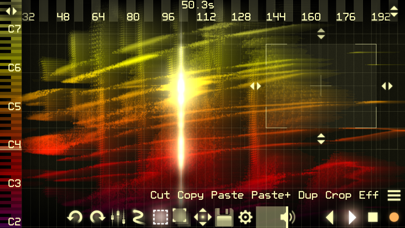 Virtual ANS 3 screenshot 1