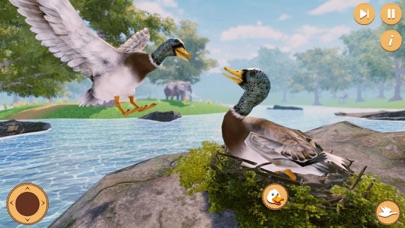 Virtual Duck Life Simulator screenshot 5