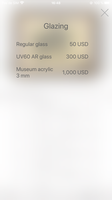 Virtual Framer screenshot 1