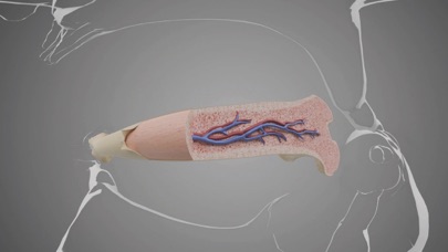 Virtual Reality Human Body! screenshot 4
