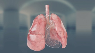 Virtual Reality Human Body! screenshot 1