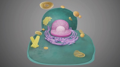 Virtual Reality Human Body! screenshot 3