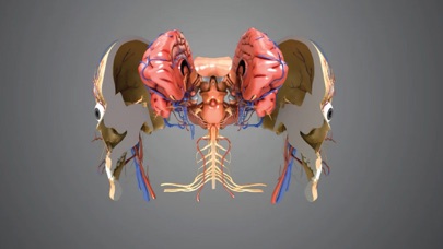 Virtual Reality Human Body! screenshot 2